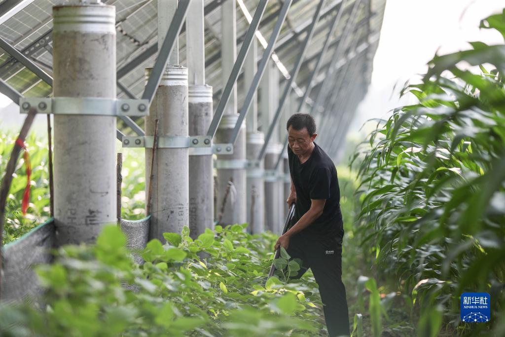 平博提现规则